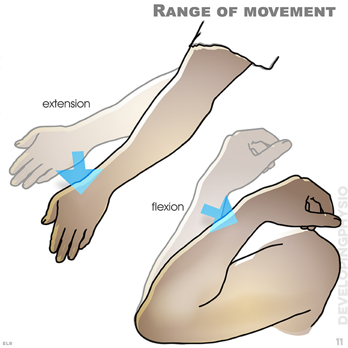Range of movement