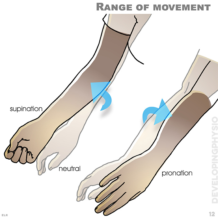 Range of movement